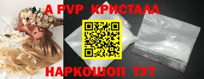 мяу мяу мука Беслан