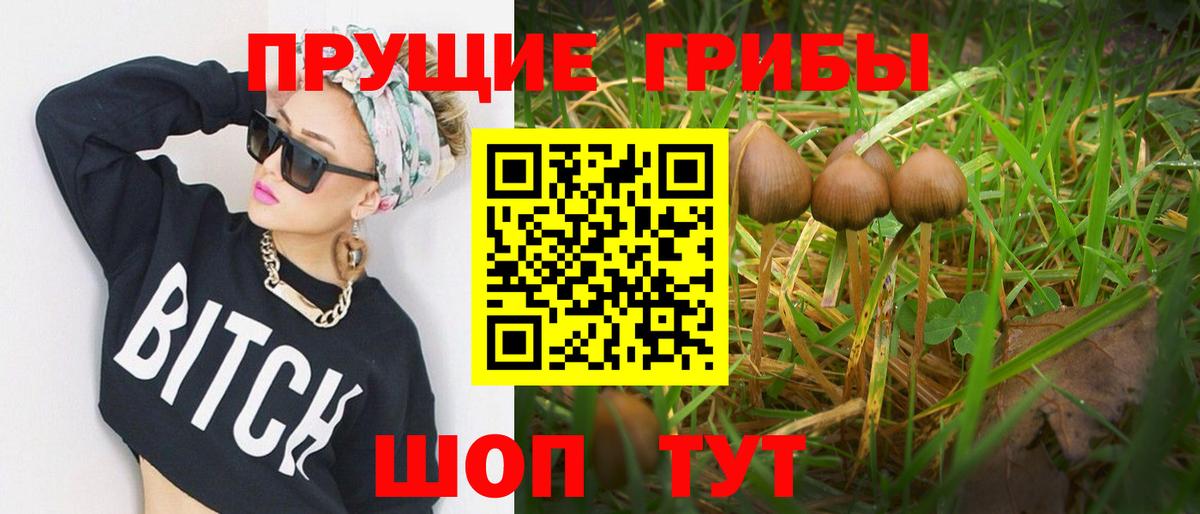 Галлюциногенные грибы Psilocybine cubensis  Вход с VPN  Калач-на-Дону 
